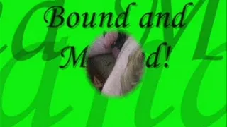 Bound and Marked! High Definition