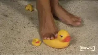 Rubber Duckie Squeaky Crush