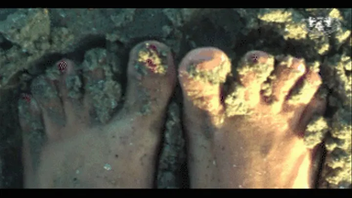 Beach Wave feet