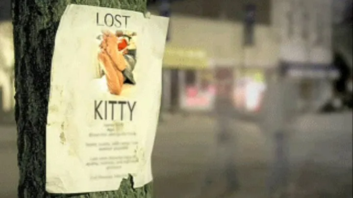 ~~Lost Kitty