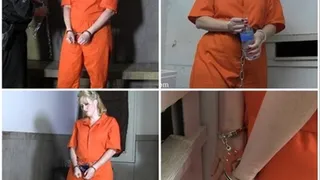 Julie Simone's First Arrest part#3