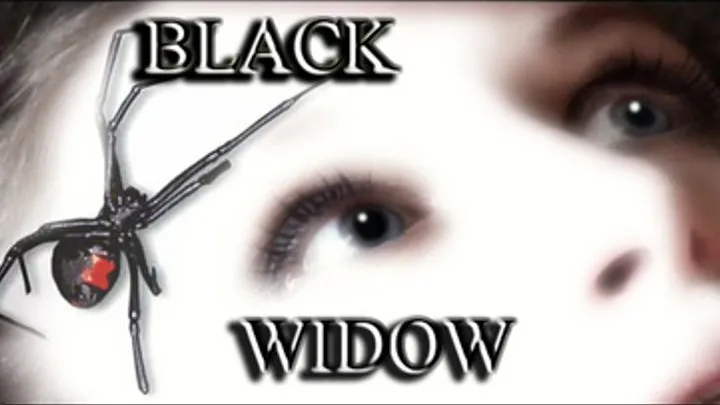 BLACK WIDOW