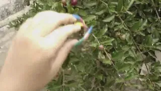 DESTROYING FRUIT WITH LONG NAILS