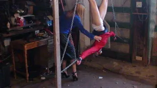 Hung upside-down spreadeagle for tickle torment