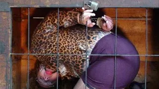 Cuffed and caged BBW pet