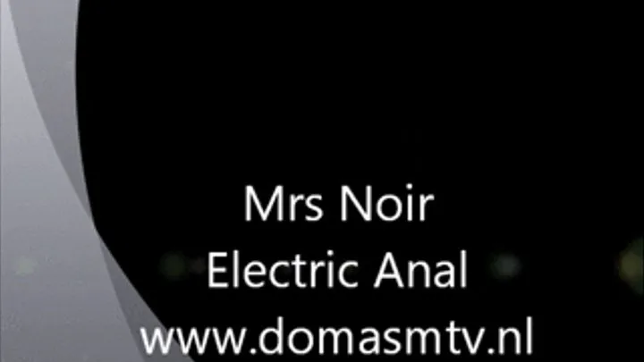 Anal electric probe