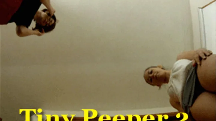 Tiny Peeper 2