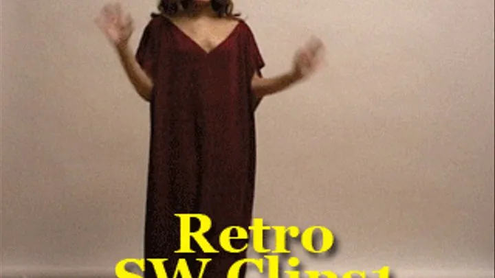 Retro-SW-Clips