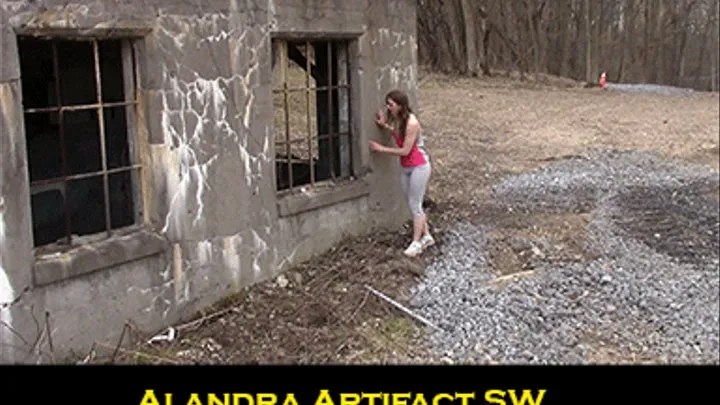 Alandra Artifact SW