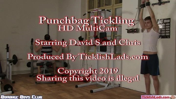 Punchbag Tickling MultiCam