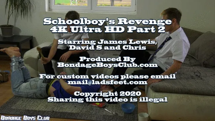 Schoolboy's Revenge Part 2