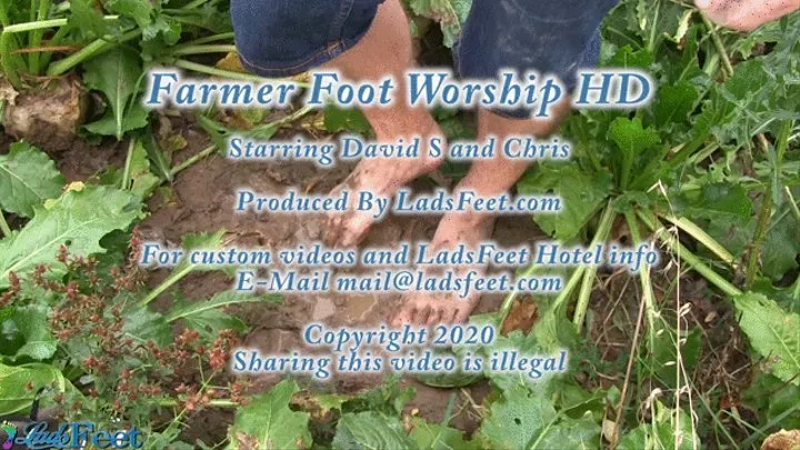 Farmer Foot Worship