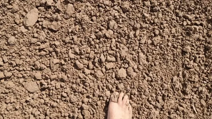 Barefoot Mud Walking In The Countryside