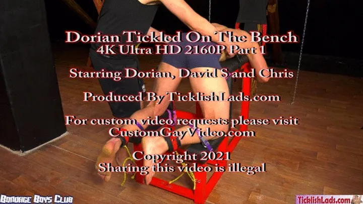 Dorian Tickled On The Bench Video 29 Mins