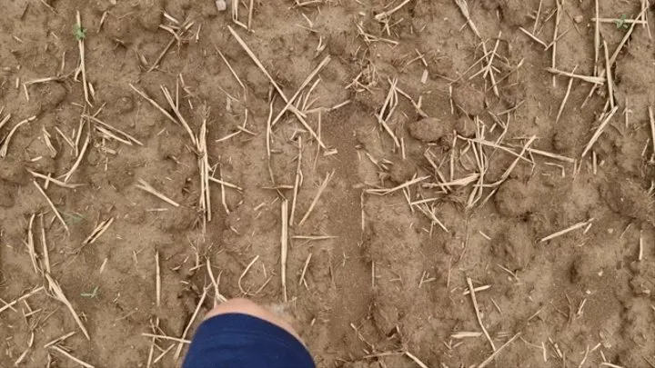 Barefoot Countryside Mud Walking