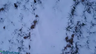 Winter Barefoot Snow Challenge 19 Jan 24