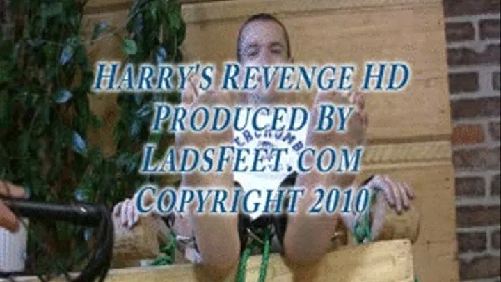 Harrys Revenge