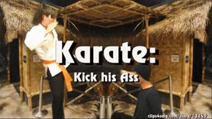 Karate: Kick his Ass