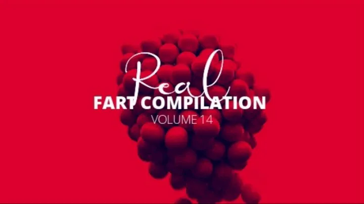 Real Fart Compilation Volume 14