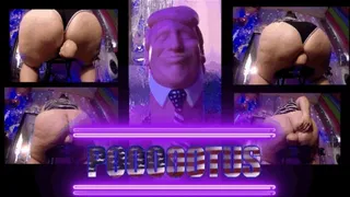 POOTUS - Fart Face Freedom Fighter