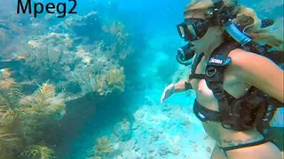 1st Reef Dive for Candice
