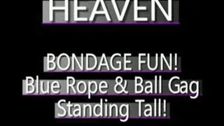 Heaven Loves Her Ball Gag! - (320 X 240 SIZED)