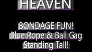 Heaven Loves Her Ball Gag! - PS3 FORMAT