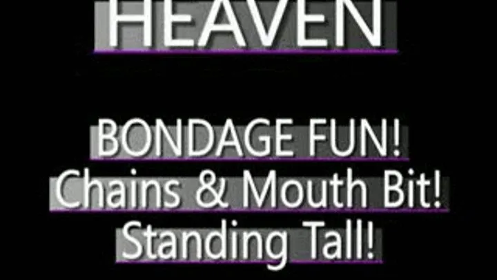 Heaven's Mouth Bit Adventure! - AVI VERSION