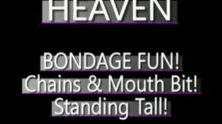 Heaven's Mouth Bit Adventure! - MPG-4 VERSION