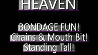 Heaven's Mouth Bit Adventure! - (320 X 240 SIZED)