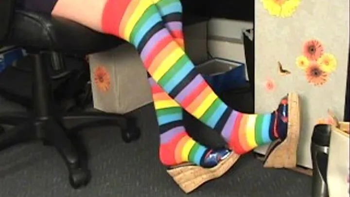 REQUEST~Rainbow Knee High Socks