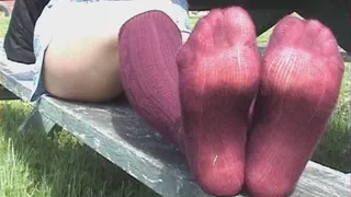 Knee High Maroon Socks