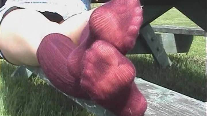 Knee High Maroon Socks~