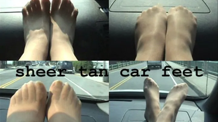 Dashboard Car Feet