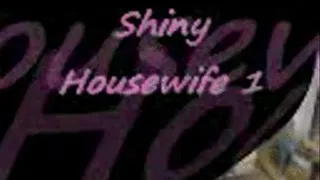 Shiny Housewife 1 3gp