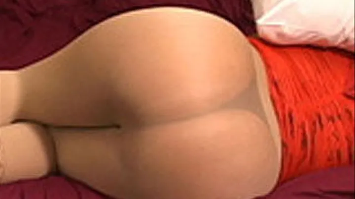 Big Ass In Nylons