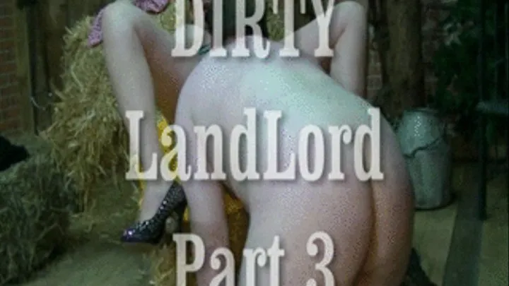 Dirty LandLord 3