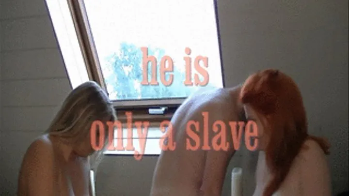 he is only a slave