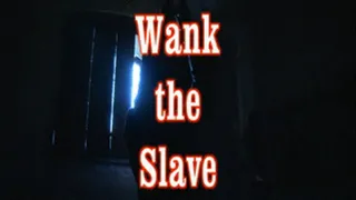 Wank the slave