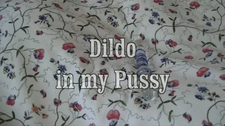 Dildo in my pussy