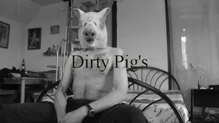 dirty pigs