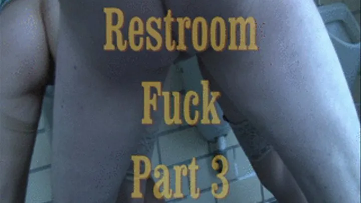 Restroom Fuck Part 3