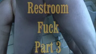 Restroom Fuck Part 3