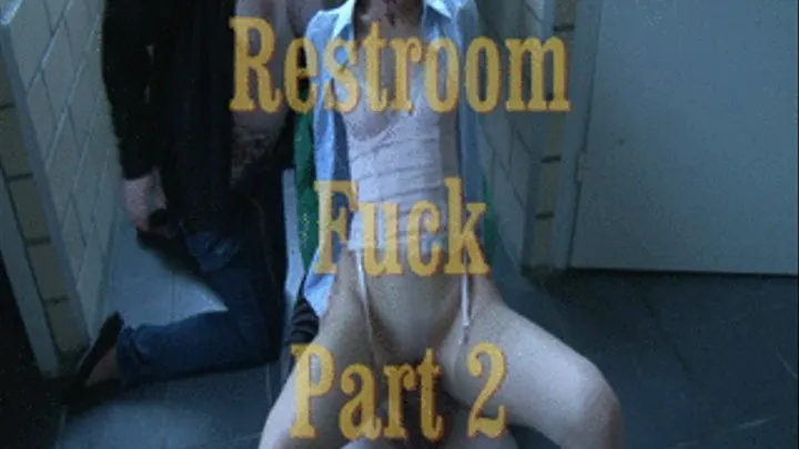 Restroom Fuck Part 2