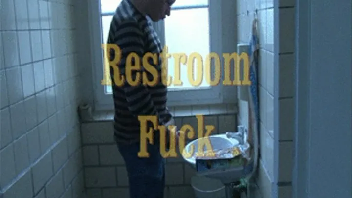 Restroom Fuck