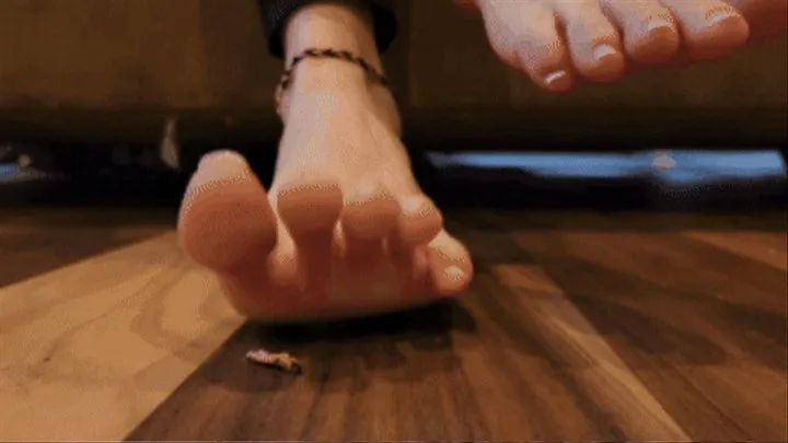 Crushed And Chewed Reboot - Stephanie Mason - CH 1 (Feet) NEW