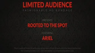 Rooted To The Spot starring Ariel