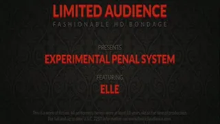 Experimental Penal System