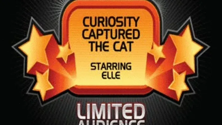 Curiosity Captured the Cat starring Elle