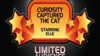 Curiosity Captured the Cat starring Elle